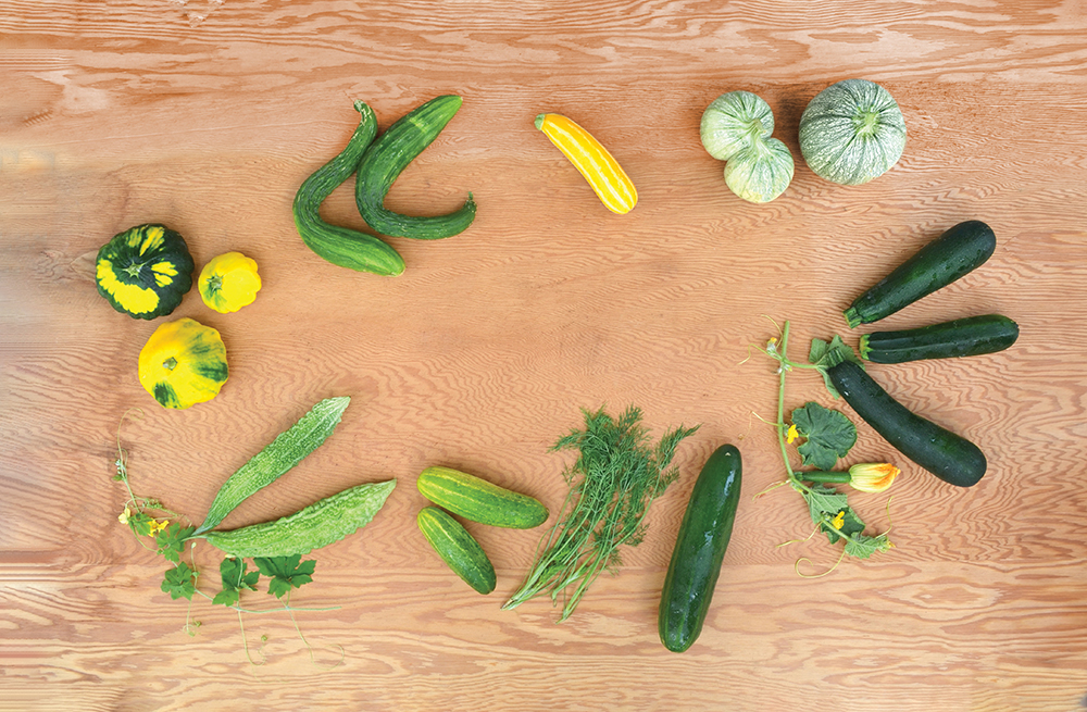 Cucurbit Your Enthusiasm
