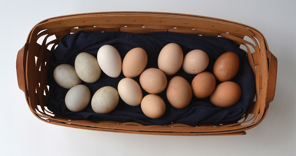Nature’s Big Vitamin Pill