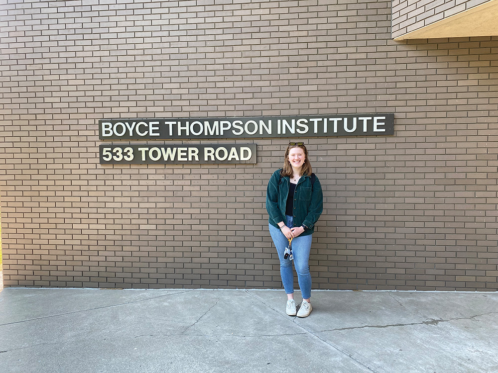 The Internship Experience of a Lifetime